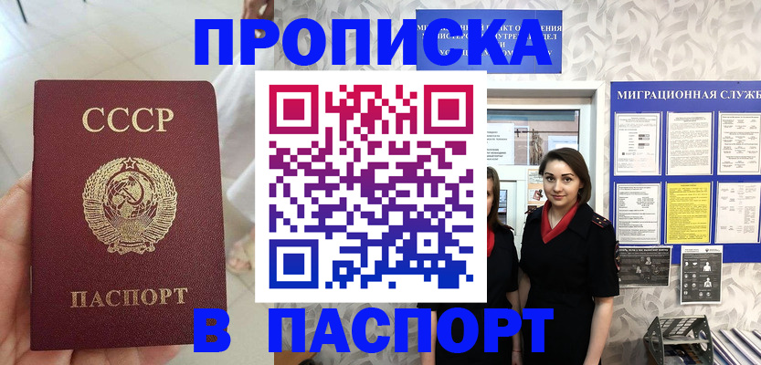 прописка 2025 в Видном